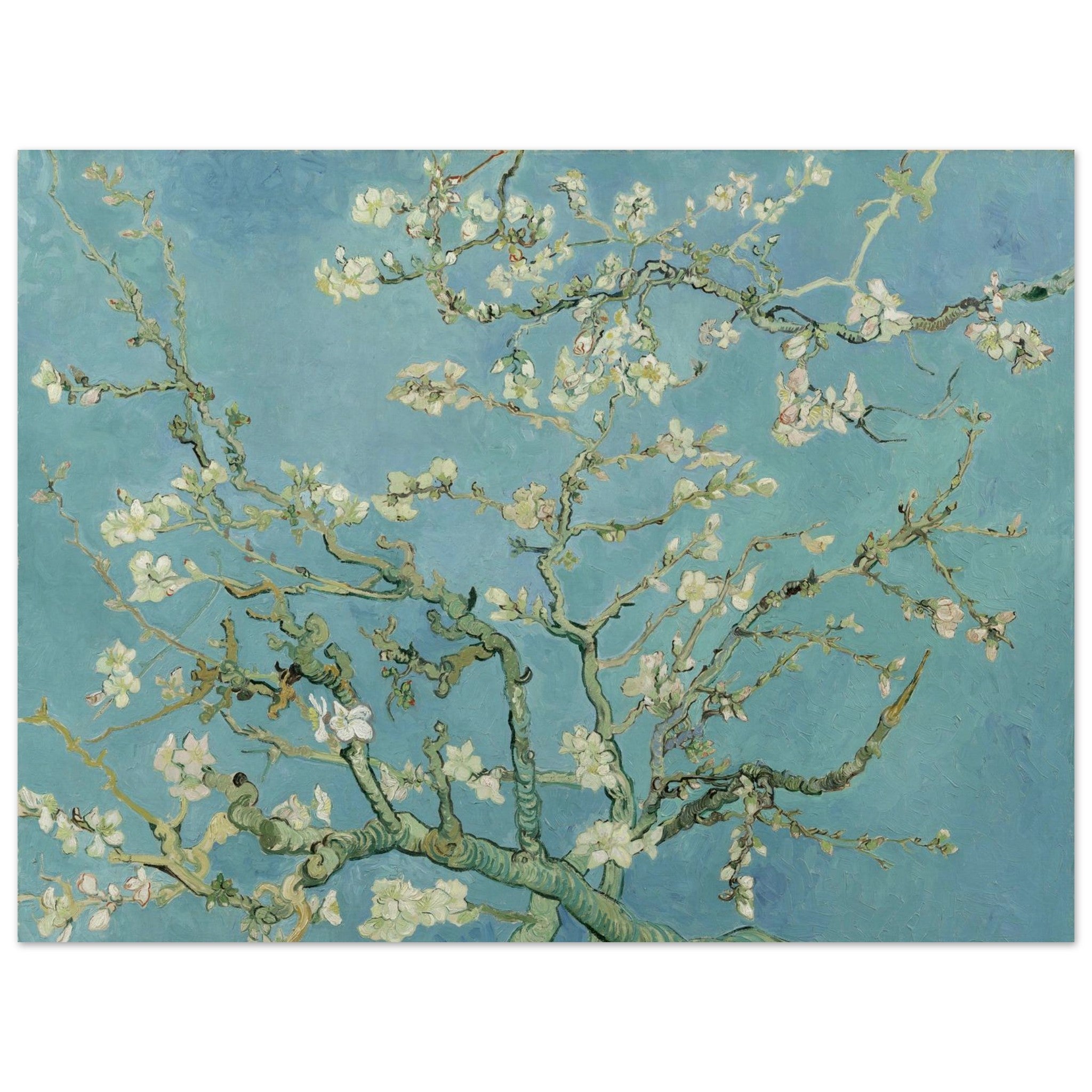 0ceab55b-fa2a-4a01-bdb2-e98aa3f23c37