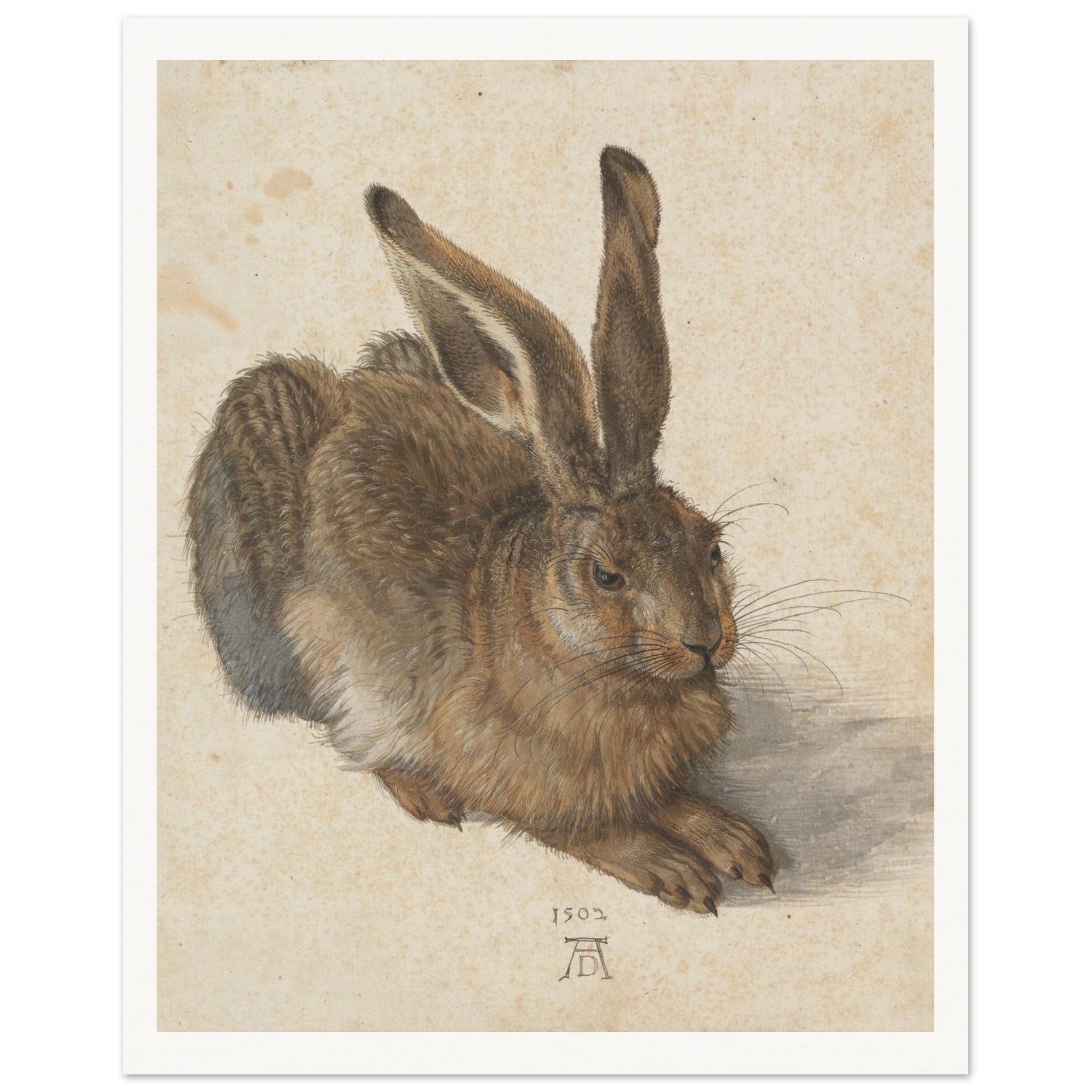 13f0d7c6-ae96-45ba-b744-729f2d67eea2