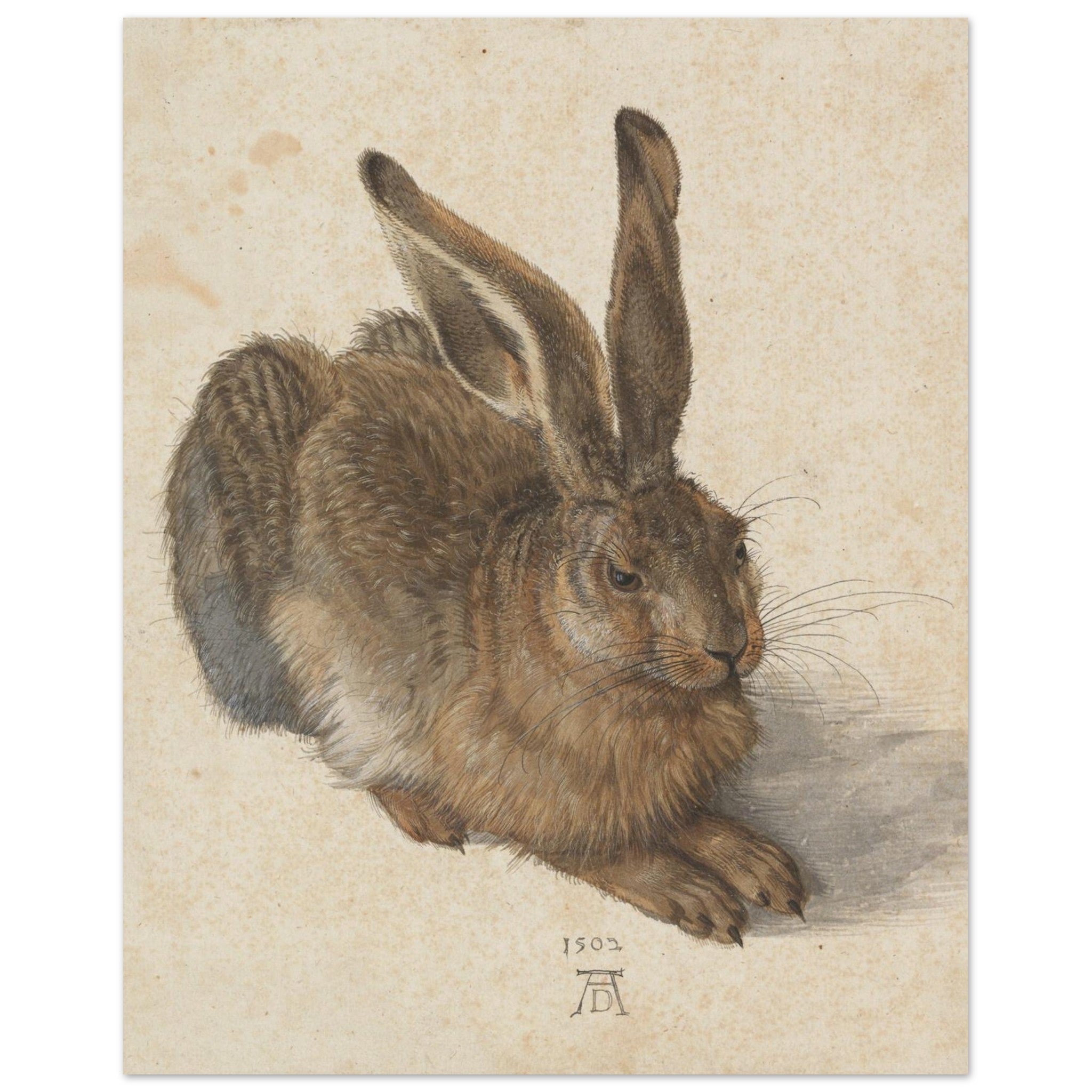 3e17c33a-8555-405c-9c34-eaf001818a30