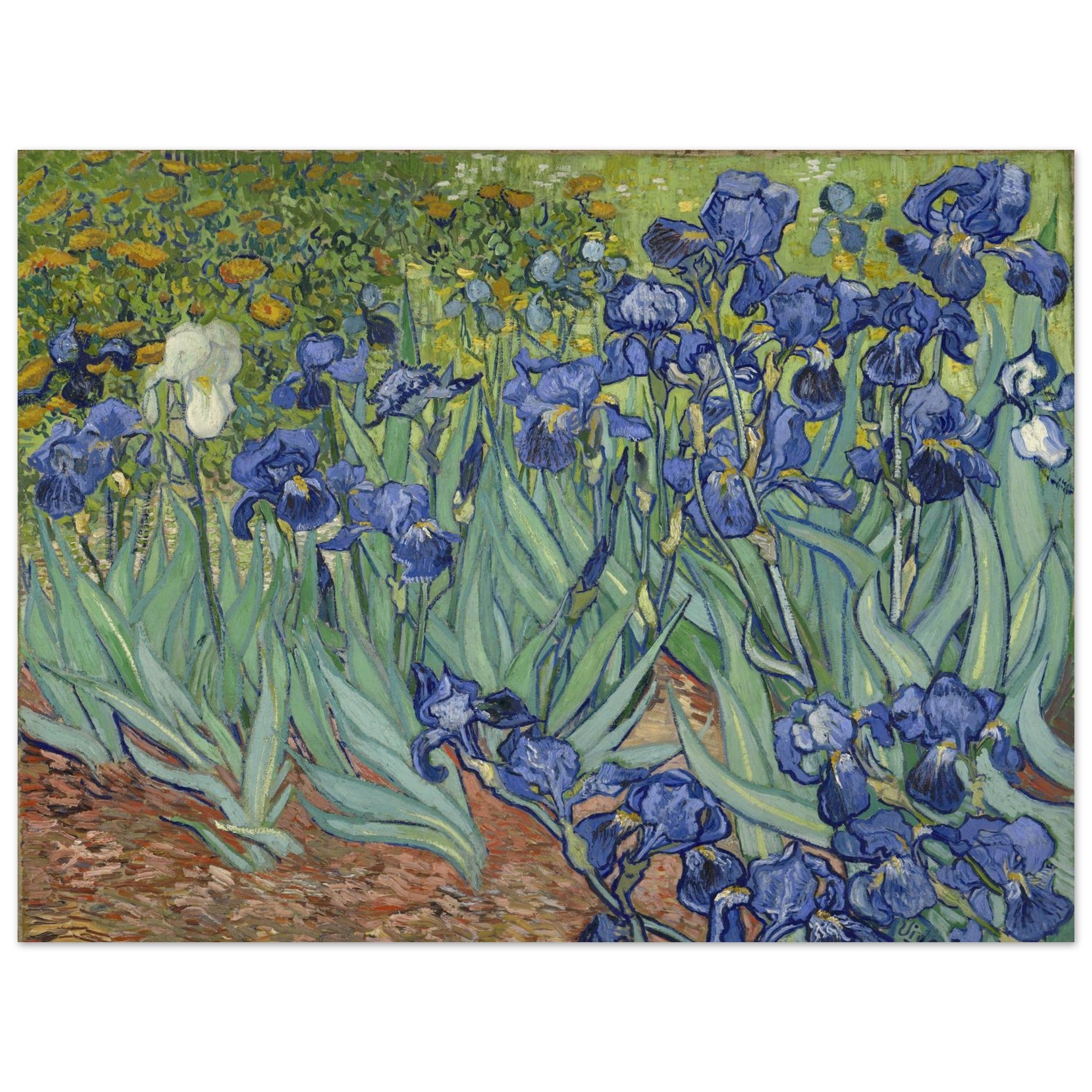 48c8a43a-ac4e-42ce-ab90-56668ef79adc