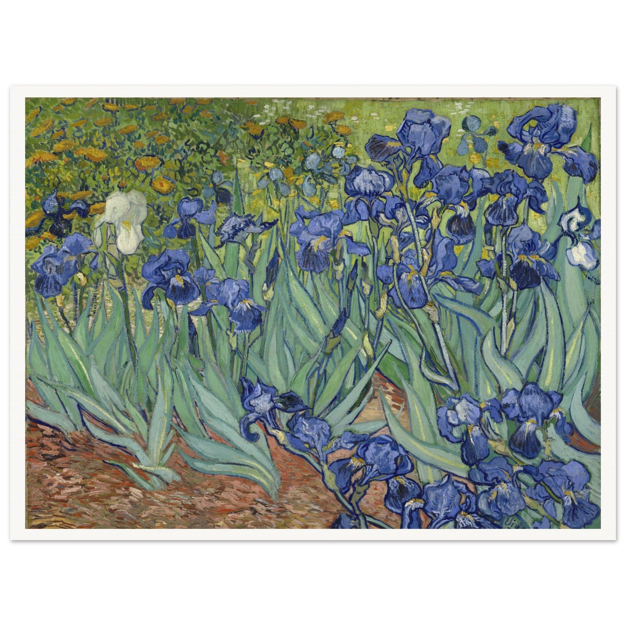 5dd592f6-7454-4c3f-b996-16e875358759