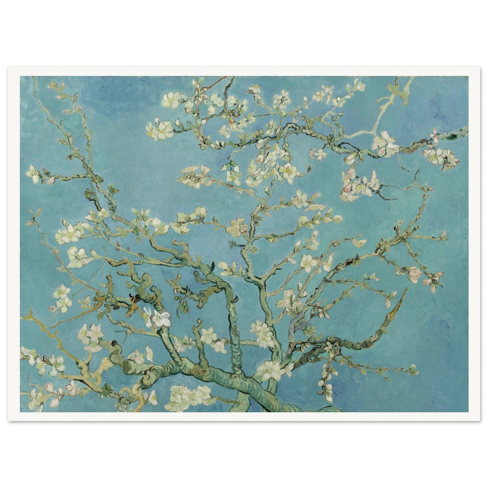 6a6475ea-6d5d-42e1-aa70-0b3ddc059ac4