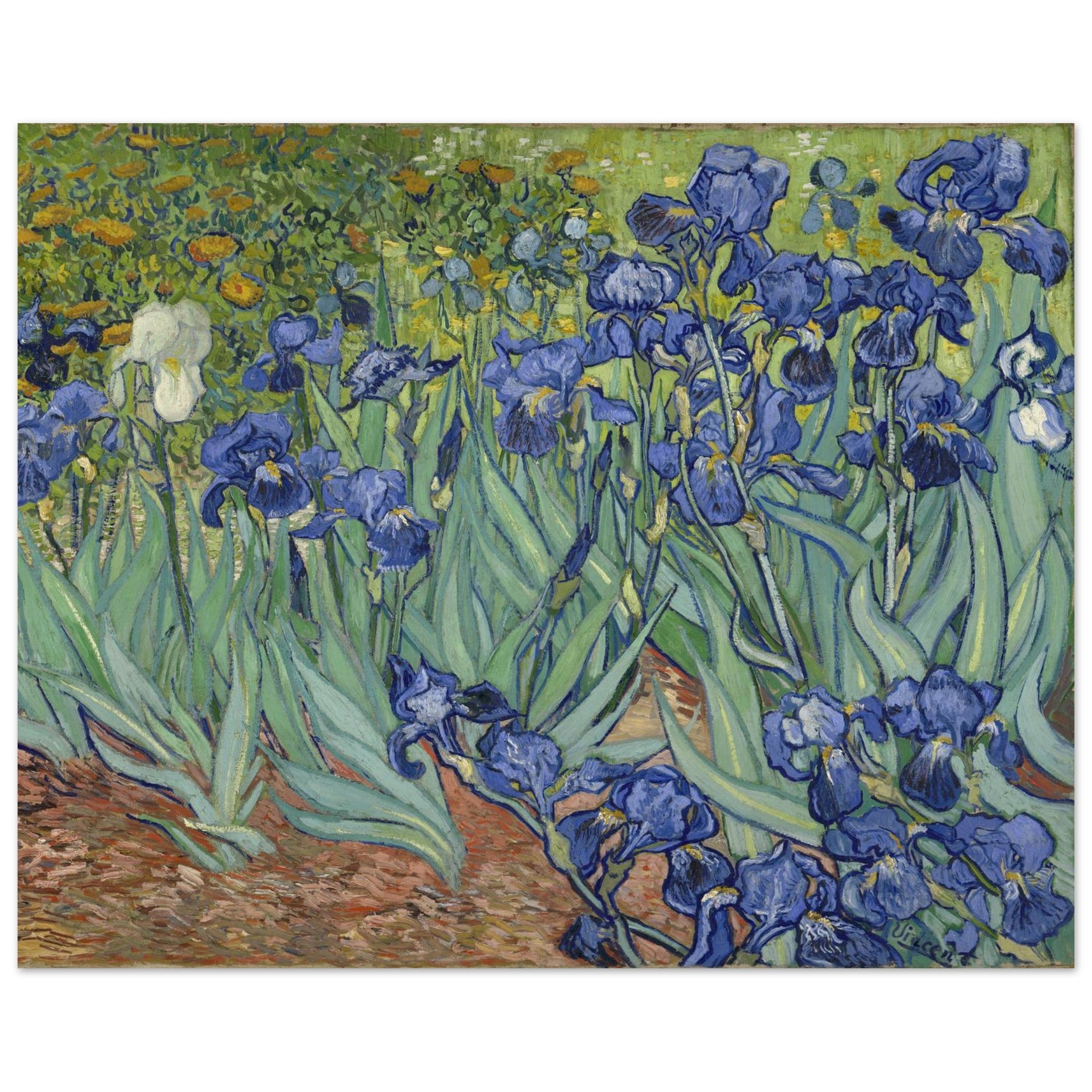 926dd5f3-ae20-414f-9704-62bf4842d676