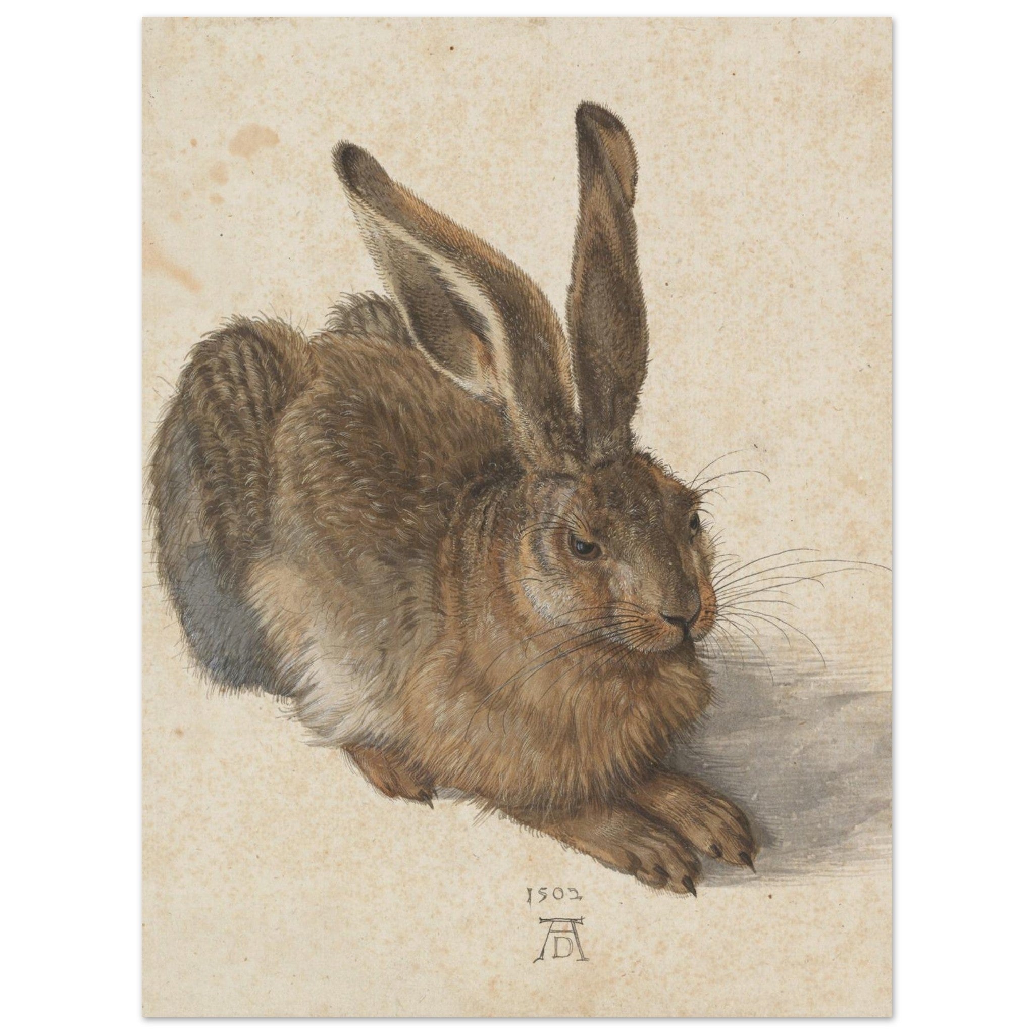 bacfeaf5-6711-4be0-bea7-f1768adc093f