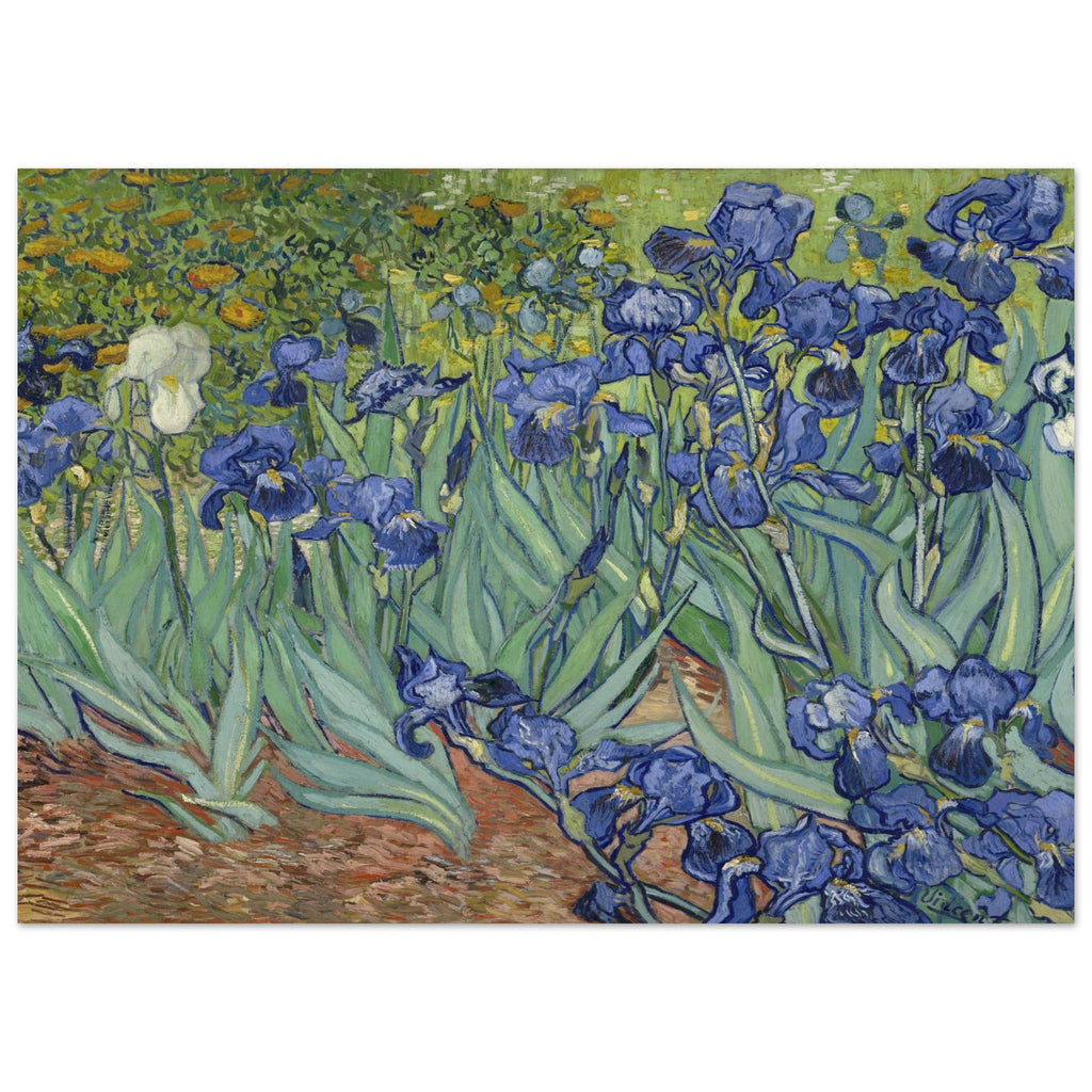 d16fcd36-bdfb-4110-9ca5-b09fcb133543