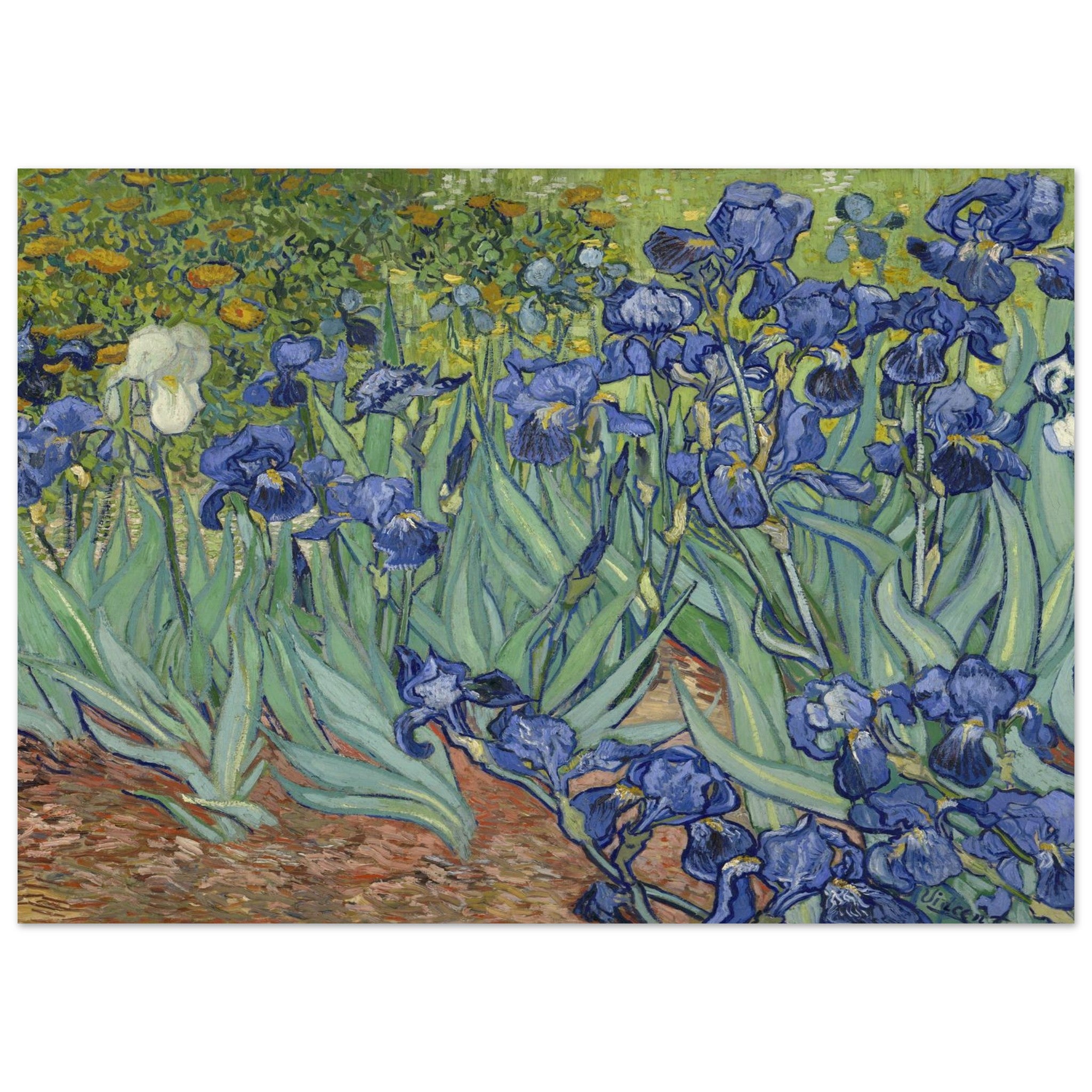 d16fcd36-bdfb-4110-9ca5-b09fcb133543